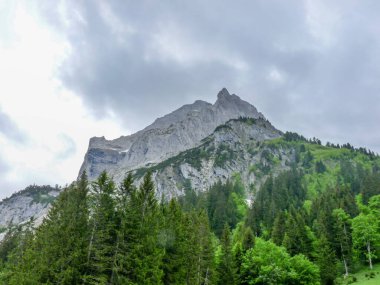 İsviçre, Meiringen, Schwarzwaldalp, Klein Wellhorn,