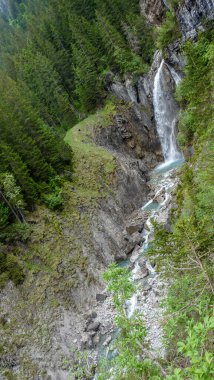 İsviçre, Meiringen, Schwarzwaldalp, ağaçlarla çevrili bir şelale.
