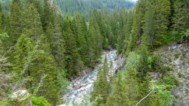 İsviçre, Meiringen, Schwarzwaldalp, ormanın içinden akan bir nehir.