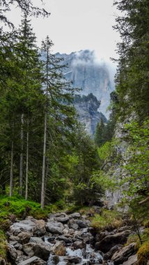 İsviçre, Meiringen, Schwarzwaldalp, ormandaki büyük bir şelale.