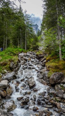 İsviçre, Meiringen, Schwarzwaldalp, ağaçlarla çevrili bir şelale.
