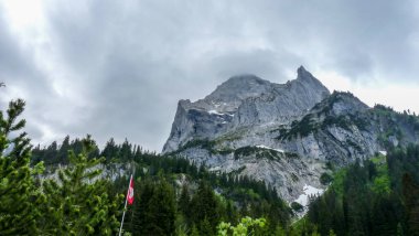 İsviçre, Meiringen, Schwarzwaldalp, arkasında dağ olan bir ağaç.