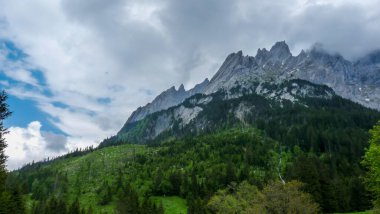 İsviçre, Meiringen, Schwarzwaldalp, arkasında dağ olan bir ağaç.