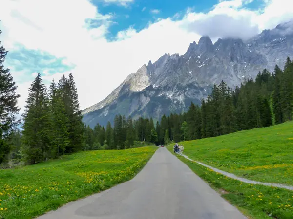 İsviçre, Meiringen, Schwarzwaldalp, dağ yolunda ağaçların olduğu bir patika.