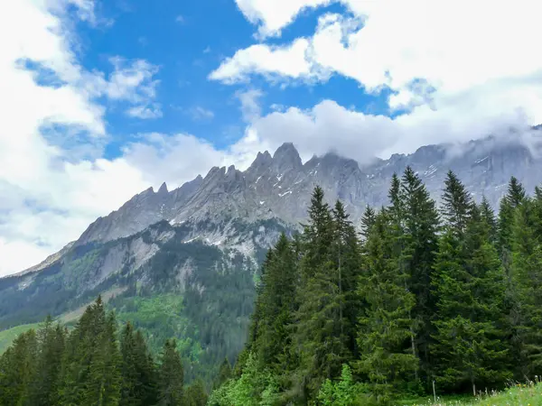 İsviçre, Meiringen, Schwarzwaldalp, arkasında dağ olan bir ağaç.