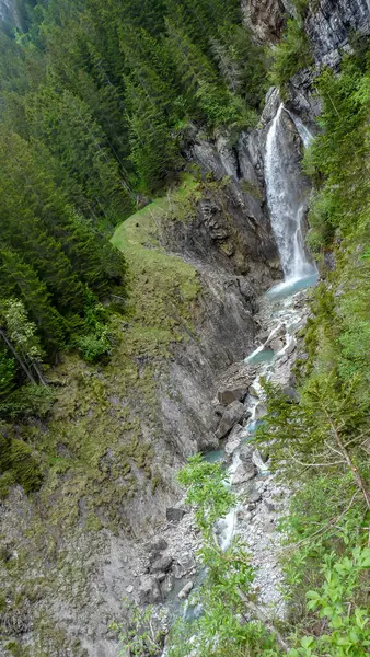 İsviçre, Meiringen, Schwarzwaldalp, ağaçlarla çevrili bir şelale.