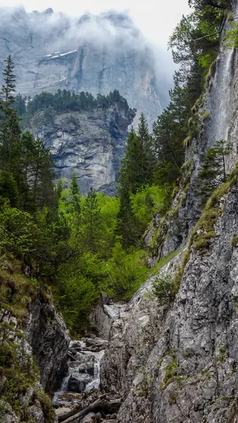 İsviçre, Meiringen, Schwarzwaldalp, ormandaki büyük bir şelale.