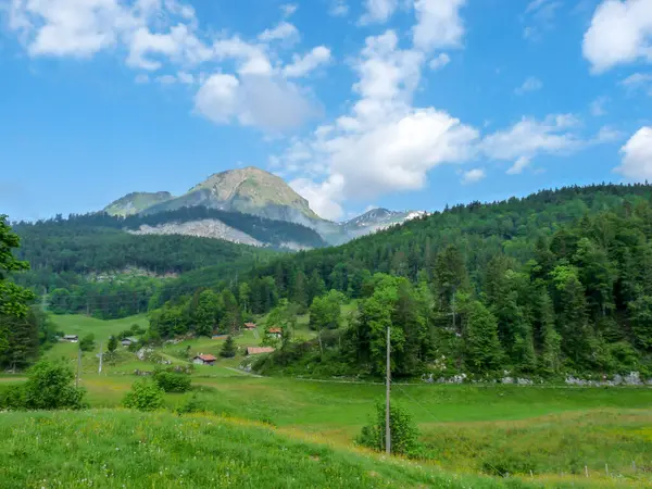 İsviçre, Meiringen, Schwarzwaldalp, arkasında dağ olan büyük yeşil bir alan.