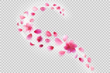 Uçan sakura yaprakları. Şeffaf arkaplanda çiçek süslemesi. Gerçekçi biçimdeki stok vektör illüstrasyonu.