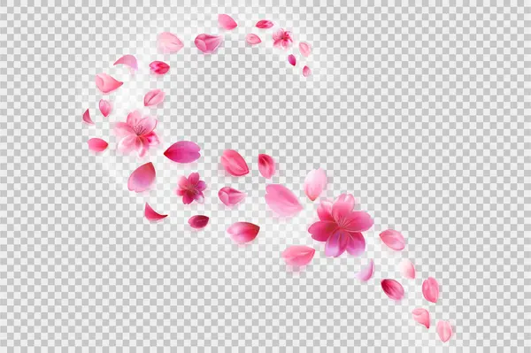 飞舞的樱花花瓣 透明背景上的花朵装饰 现实风格的股票矢量图解 免版税图库插图