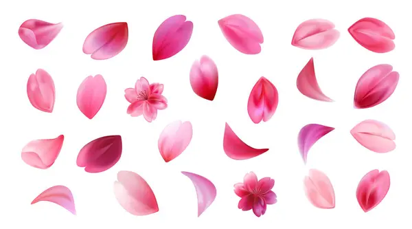 Conjunto Diferentes Pétalos Caóticos Sakura Concepto Flor Cerezo Stock Ilustración Vector De Stock
