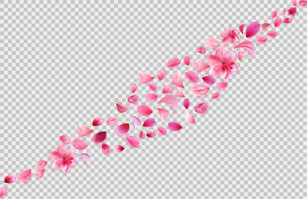 飞舞的樱花花瓣 透明背景上的花朵装饰 现实风格的股票矢量图解 图库插图