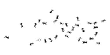 Kaotik Karınca Yolu çizimi. Evde böcek var. konsept Stok vektör illüstrasyonu düz basit bir şekilde beyaz arkaplanda izole edildi.