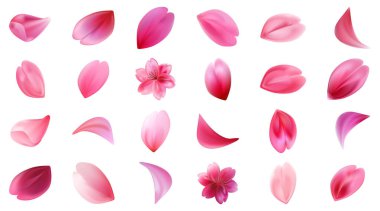 Sakura çiçeklerinin farklı gerçekçi çiçekleri. Stok vektör illüstrasyonu beyaz arkaplanda izole edildi.