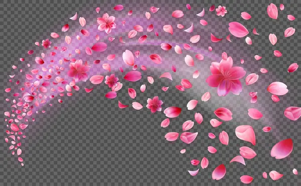 Güzel pembe sakura yaprakları ve hareket halindeki çiçekler şeffaf arka planda izole edilmiş yumuşak bir ışıltı efektiyle. Stok vektör illüstrasyonu