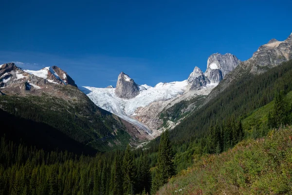 Gletsjers Spires Bugaboo Park Brits Columbia Canada Stockafbeelding