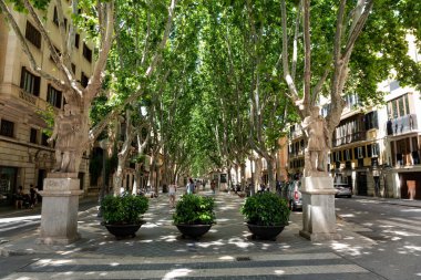 Palma de Mallorca, İspanya - 2022 05 22: La Rambla Bulvarı 'nda turistler ve yerel halk yürüyor. Palma de Mallorca 'nın tarihi merkezinde bulunan popüler bir yaya bölgesidir.