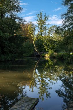 Chamarande Şatosu 'nda Juine Nehri - Essonne, Fransa