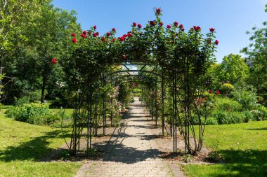 Empresyonistler parkındaki Flora Arcade 'ler. Bu park, Fransa 'nın Paris yakınlarındaki Rueil Malmaison' daki Seine Nehri kıyısında yer almaktadır.