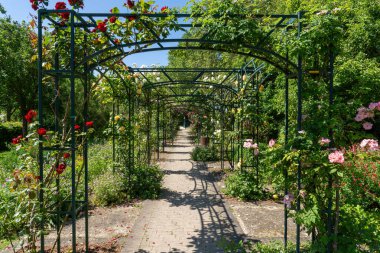 Empresyonistler parkındaki Flora Arcade 'ler. Bu park, Fransa 'nın Paris yakınlarındaki Rueil Malmaison' daki Seine Nehri kıyısında yer almaktadır.