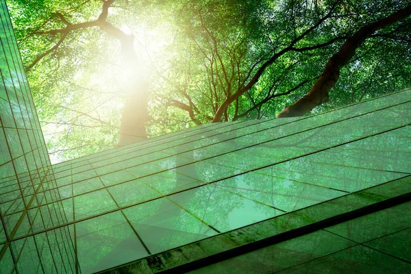 Sustainble Green Building Eco Friendly Building Sustainable Glass Office Building — Fotografia de Stock