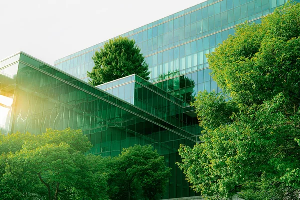 Sustainble Green Building Eco Friendly Building Sustainable Glass Office Building — Foto Stock
