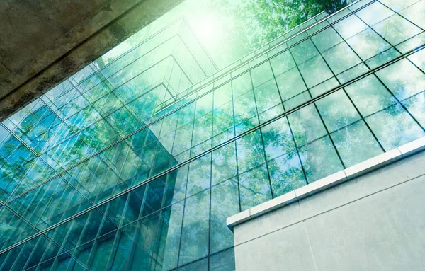 Sürdürülebilir yeşil bina. Modern şehirde çevre dostu bir bina. Karbondioksiti azaltmak için ağaç olan sürdürülebilir cam ofis binası. Yeşil çevresi olan bir ofis. Şirket binası CO2 'yi düşürdü.