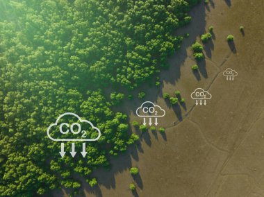 Karbon yakalama konsepti. Doğal karbon batar. Mangrov ağaçları atmosferdeki CO2 'yi yakalar. Yeşil mangrov ormanının havadan görünüşü. Mavi karbon ekosistemleri. Mangrovlar karbondioksit emisyonunu emerler..