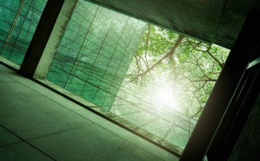 Sürdürülebilir yeşil bina. Modern şehirde çevre dostu bir bina. Karbondioksiti azaltmak için ağaç olan sürdürülebilir cam ofis binası. Yeşil çevresi olan bir ofis. Şirket binası CO2 'yi düşürdü.