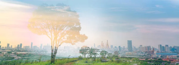 Sustainable city. Eco-friendly building. Low carbon city. Green city. Eco-friendly urbanization. Sustainable development. Urban biodiversity. Panorama views cityscape with trees and forest in city.