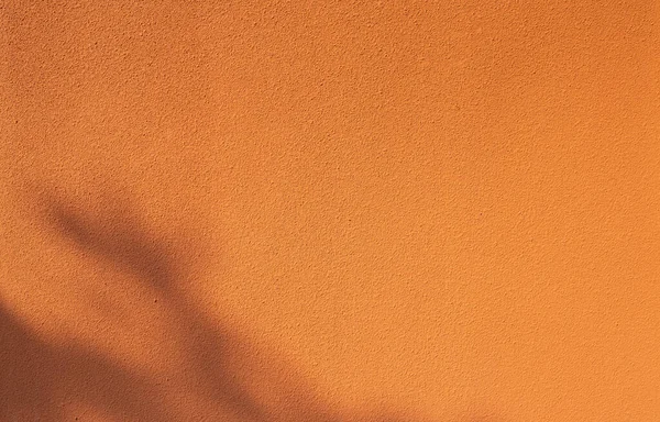Leere Orangefarbene Betonwand Mit Laubschatten Farbige Betonstruktur Lebendiger Wandhintergrund Blattschatten — Stockfoto