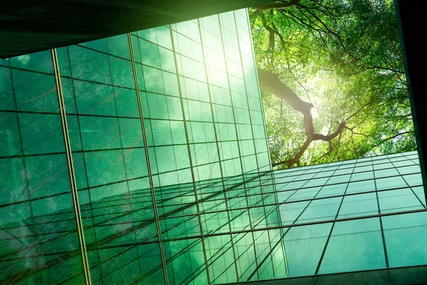 可更换的绿色建筑 现代城市的环境友好型建筑 Esg 可持续玻璃办公楼与绿树 绿色环境办公室 企业可持续性 净零排放 — 图库照片
