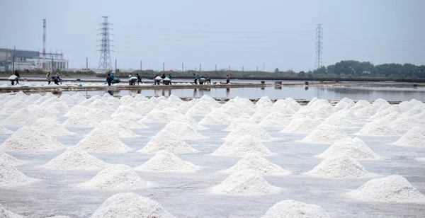 タイの海塩農場 塩を塩で 塩産業の原料 塩化ナトリウムだ 海水の蒸発と結晶化 農場で働く労働者 塩の収穫 — ストック写真