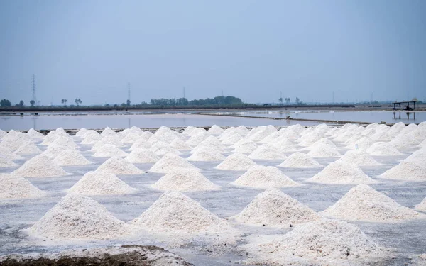 タイの風景海塩農場 塩を塩で 塩産業の原料 塩化ナトリウムだ 海水の蒸発と結晶化 塩の収穫 農業産業 伝統的な農場 — ストック写真