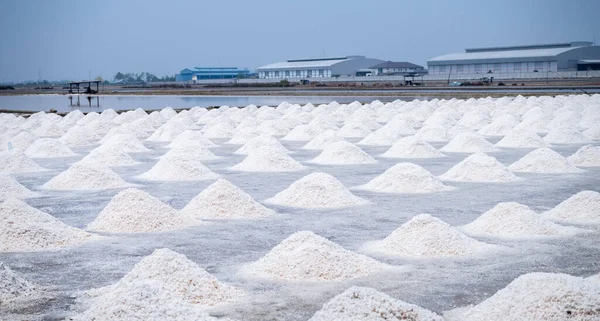 Krajobraz Morski Solna Farma Tajlandii Sól Solankowa Surowiec Przemysłu Solnego — Zdjęcie stockowe