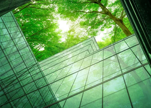 Modern şehirde çevre dostu bir bina. Isı ve karbondioksiti azaltmak için ağaç olan sürdürülebilir cam ofis binası. Yeşil çevresi olan bir ofis binası. Şirket binası CO2 'yi düşürdü.
