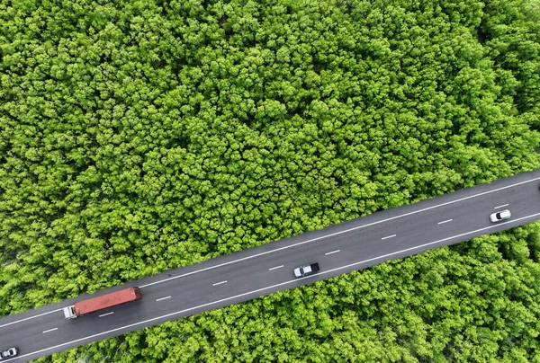 在绿色森林的高速公路上驾驶汽车和卡车的空中俯瞰 可持续交通 在绿色森林的柏油路上驾驶的氢能卡车和电动车的无人机视图 图库图片