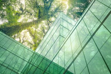 Modern şehirde çevre dostu bir bina. Isı ve karbondioksiti azaltmak için ağaç olan sürdürülebilir cam ofis binası. Yeşil çevresi olan bir ofis binası. Şirket binası CO2 'yi düşürdü.