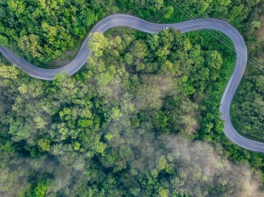 Yeşil orman ve otoban manzaralı. Yeşil ağaçların ve sabah sisinin drone görüntüsü. Karbon nötr ve net sıfır emisyon kavramı için yeşil ağaçlar. Sürdürülebilir yeşil ortam.