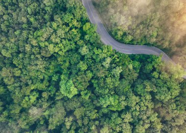 Yeşil orman ve otoban manzaralı. Yeşil ağaçların ve sabah sisinin drone görüntüsü. Karbon nötr ve net sıfır emisyon kavramı için yeşil ağaçlar. Sürdürülebilir yeşil ortam.