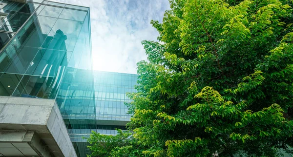 持続可能なグリーンビル 環境に優しい建物 二酸化炭素を削減するための木が付いている持続可能なガラス オフィスの建物 グリーン環境を有するグリーンカンパニーオフィス コーポレートビルディングはCo2削減 ロイヤリティフリーのストック写真