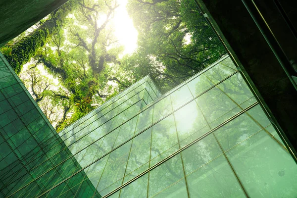 现代城市的环境友好型建筑 可持续的玻璃办公楼与树 以减少热量和二氧化碳 有绿色环境的办公大楼 公司建设减少二氧化碳 — 图库照片