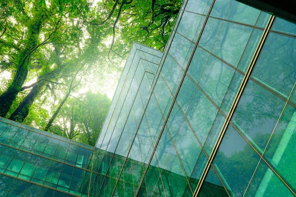 近代的な都市で環境に優しい建物 Co2削減のための木が付いている持続可能なガラス オフィスの建物 グリーンアーキテクチャ グリーンな環境で構築 サステナビリティ企業 ネットゼロエミッション ストック画像
