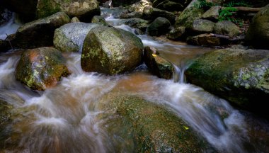 Şelale ormanda akıyor. Yeşil ormanda şelale. Dağ şelalesi. Yeşillik ormanında çağlayan dere. Doğa geçmişi. Şelalede taş ya da kaya. Su sürdürülebilirliği. Suyun korunumu.