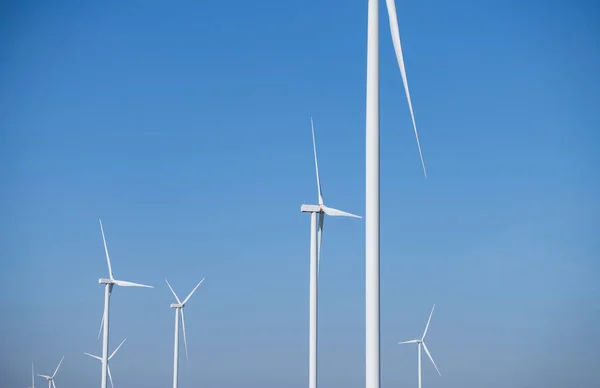 可持续 可再生能源 风力涡轮机发电 风电场 可持续资源 可持续发展 绿色技术促进能源可持续性 图库照片