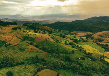 Teraslı pirinç tarlaları ve yemyeşil tarlaları olan yeşil dağların manzarası. Huzurlu bir ortam. Valley 'deki organik pirinç tarlası. Eko-turizm seyahati. Asya 'da seyahat yerleri. Dağ sıraları.