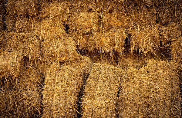 Сухой тюк из соломы и побочные продукты сельского хозяйства. штабелированные желтые соломенные тюки для корма для животных и подстилки для скота. Соломенные тюки в устойчивом сельском хозяйстве. Побочные продукты сельского хозяйства. Сельское хозяйство.