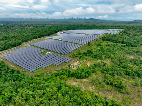 Yeşil ormandaki hava manzaralı güneş çiftliği. Yenilenebilir enerji ve sürdürülebilir güç üretimi. Çevre dostu elektrik için fotovoltaik elektrik santrali. Yeşil enerji. Enerji sürdürülebilirliği ve temiz güç.