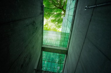 Modern şehirde çevre dostu bir bina. Karbondioksiti azaltmak için ağaçlı sürdürülebilir cam ofis binası. Yeşil çevresi olan bir ofis binası. Şirket binası karbondioksiti azaltır. Sıfır ağ emisyonu