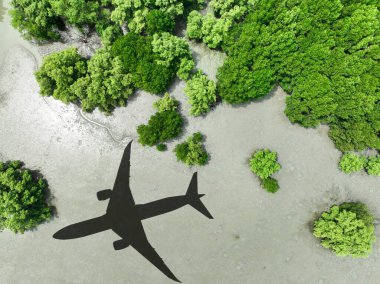 Mangrov ormanının üzerinde uçan gölge uçak. Sürdürülebilir yakıt. Biyoyakıt havacılıkta. Sürdürülebilir ulaşım ve biyoyakıt kullanımlı çevre dostu uçuş. Havacılık sürdürülebilirliği. Mangrovlar CO2 yakaladı